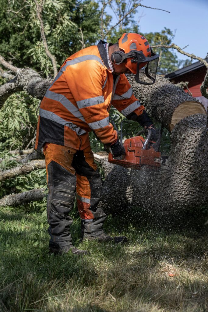 Tree Felling Galway